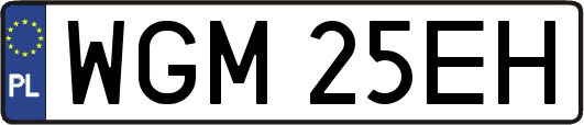 WGM25EH