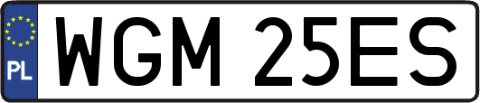 WGM25ES