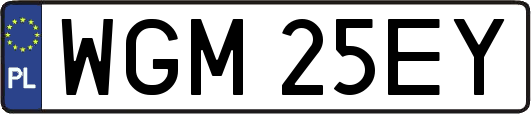 WGM25EY