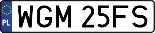 WGM25FS