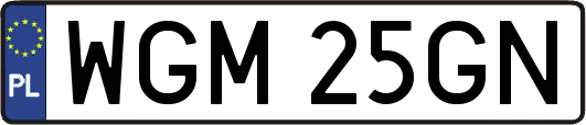 WGM25GN