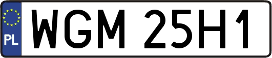 WGM25H1