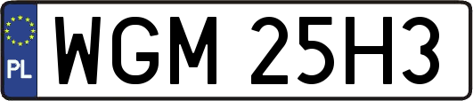 WGM25H3