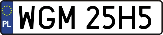 WGM25H5