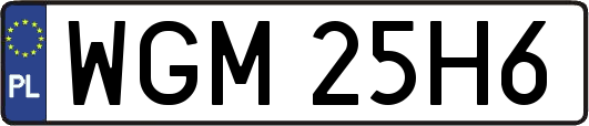 WGM25H6