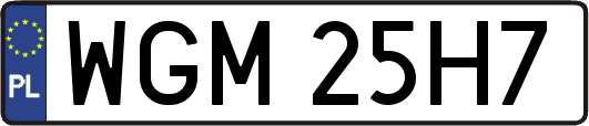 WGM25H7