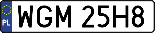 WGM25H8