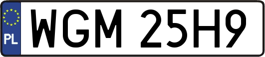 WGM25H9