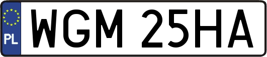 WGM25HA