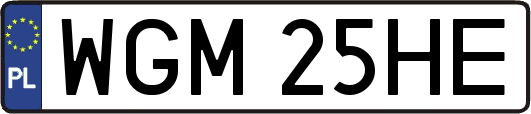 WGM25HE