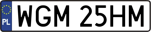 WGM25HM