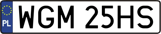 WGM25HS