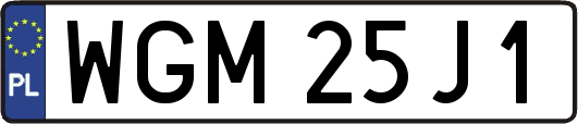 WGM25J1