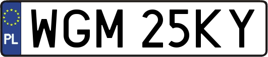 WGM25KY