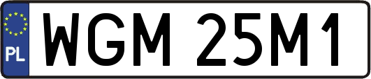 WGM25M1