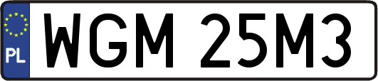 WGM25M3