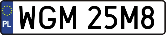WGM25M8