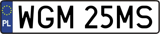 WGM25MS