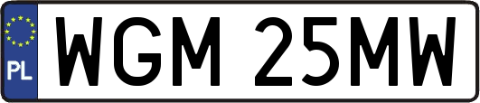 WGM25MW