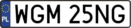 WGM25NG