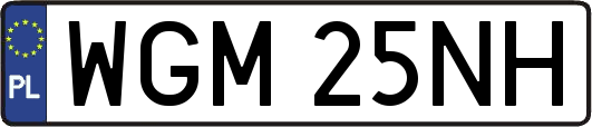 WGM25NH
