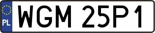 WGM25P1