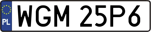 WGM25P6