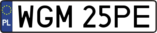 WGM25PE