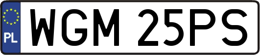 WGM25PS
