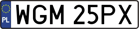 WGM25PX