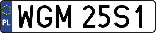 WGM25S1