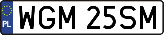 WGM25SM