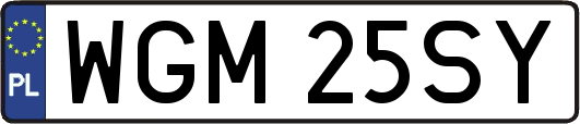 WGM25SY