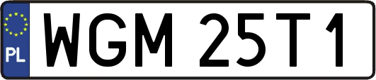 WGM25T1