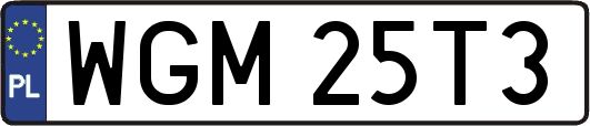 WGM25T3