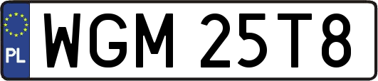 WGM25T8