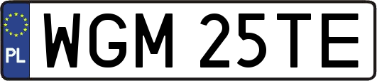 WGM25TE