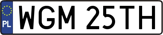 WGM25TH