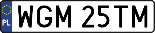WGM25TM