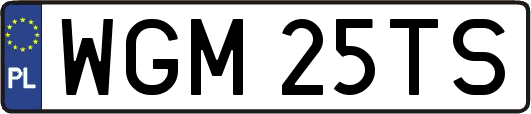 WGM25TS