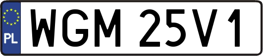 WGM25V1