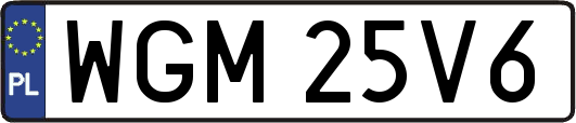 WGM25V6