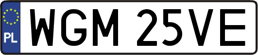 WGM25VE