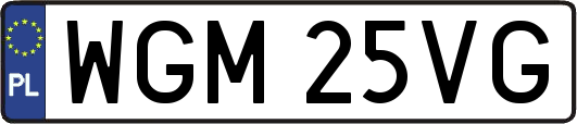 WGM25VG