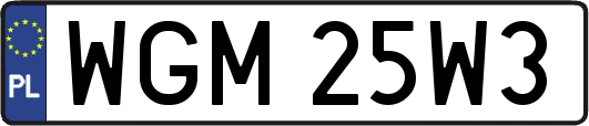 WGM25W3