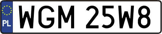WGM25W8