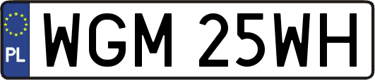 WGM25WH