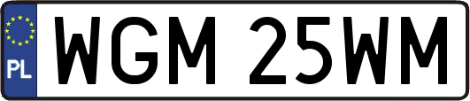 WGM25WM