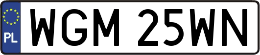 WGM25WN