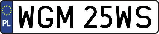 WGM25WS